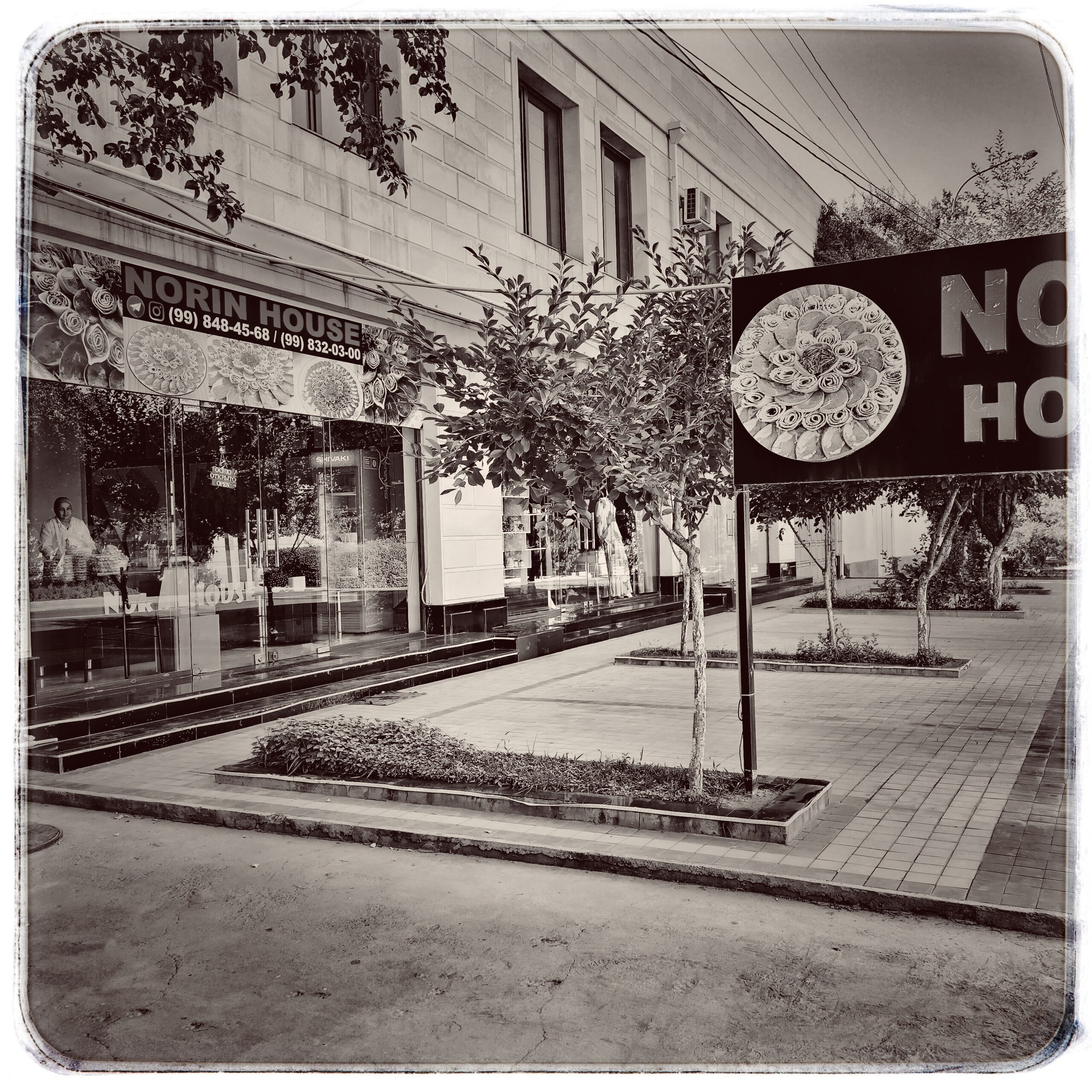 Norin house
