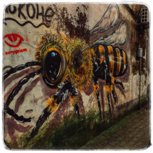 Batumi graffiti. Batumi, GeorgienBatumi, Georgia Батуми, Грузия