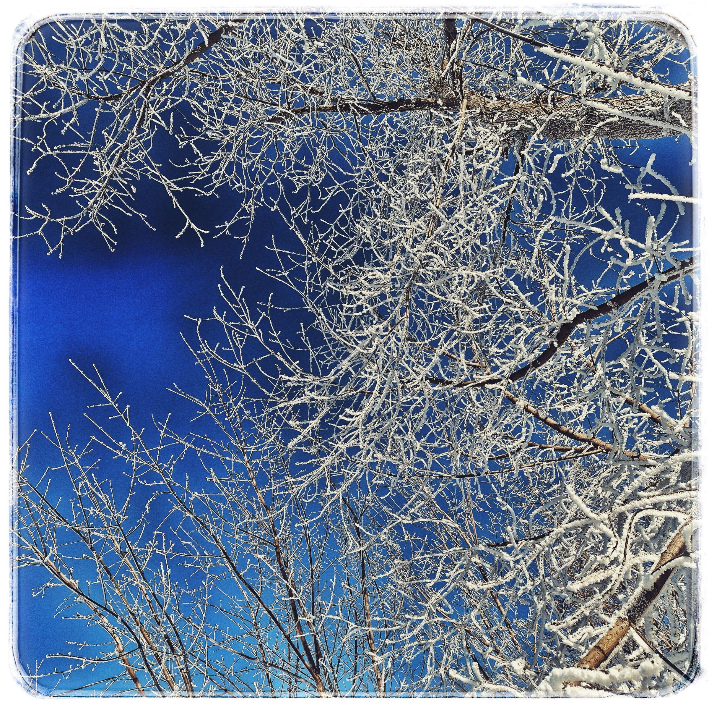 Видеозарисовки. Frost