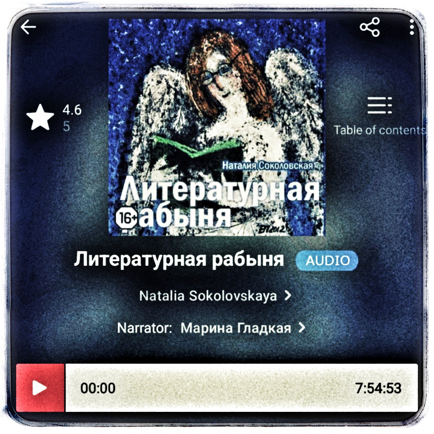 Скриншот с фрагментом обложки книги Натилии Соколовской «Литературная рабыня» из читалки Литрес.