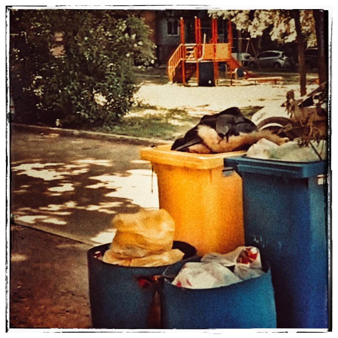 ВидеоЗарисовки. Hausarbeit. Dohle