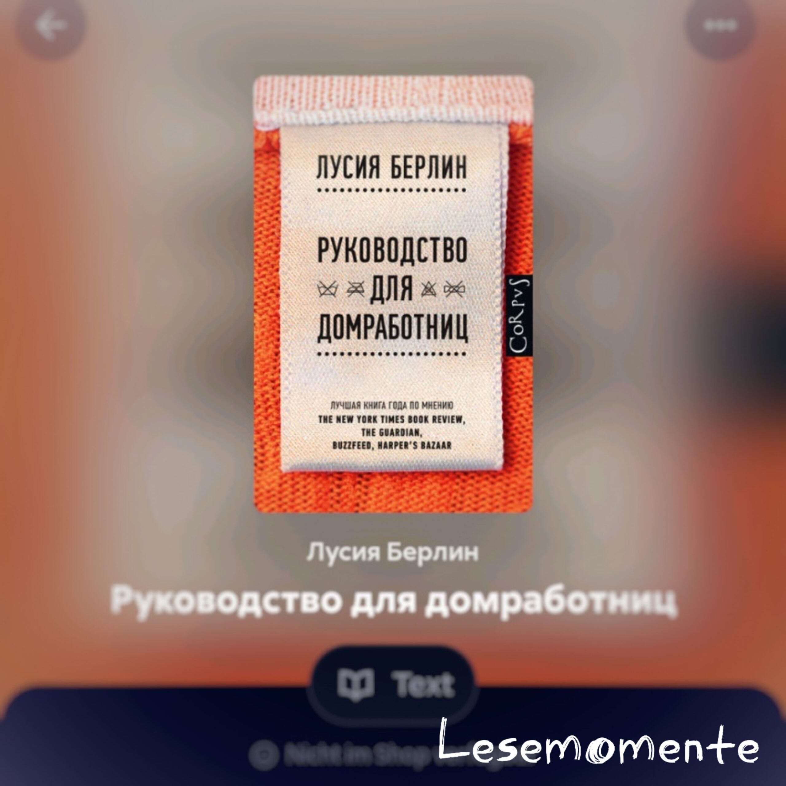 Руководство для домработниц от Лусии Берлин